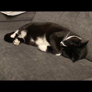 Meet your Posher, Alissa